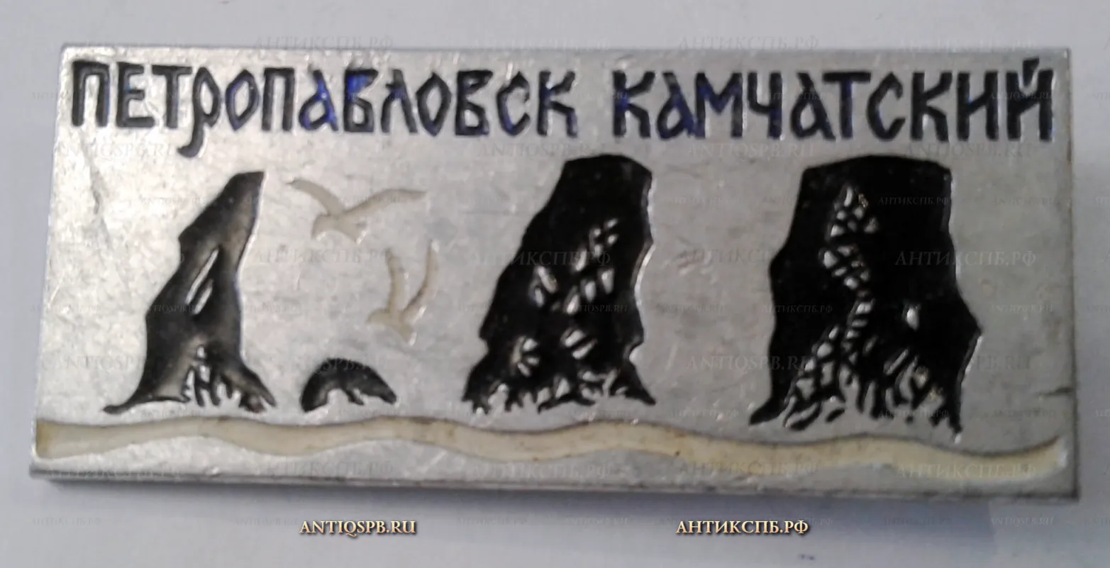Значок "Петропавловск-Камчатский" СССР Вт. пол. ХХ века №2075